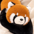 Panda roux